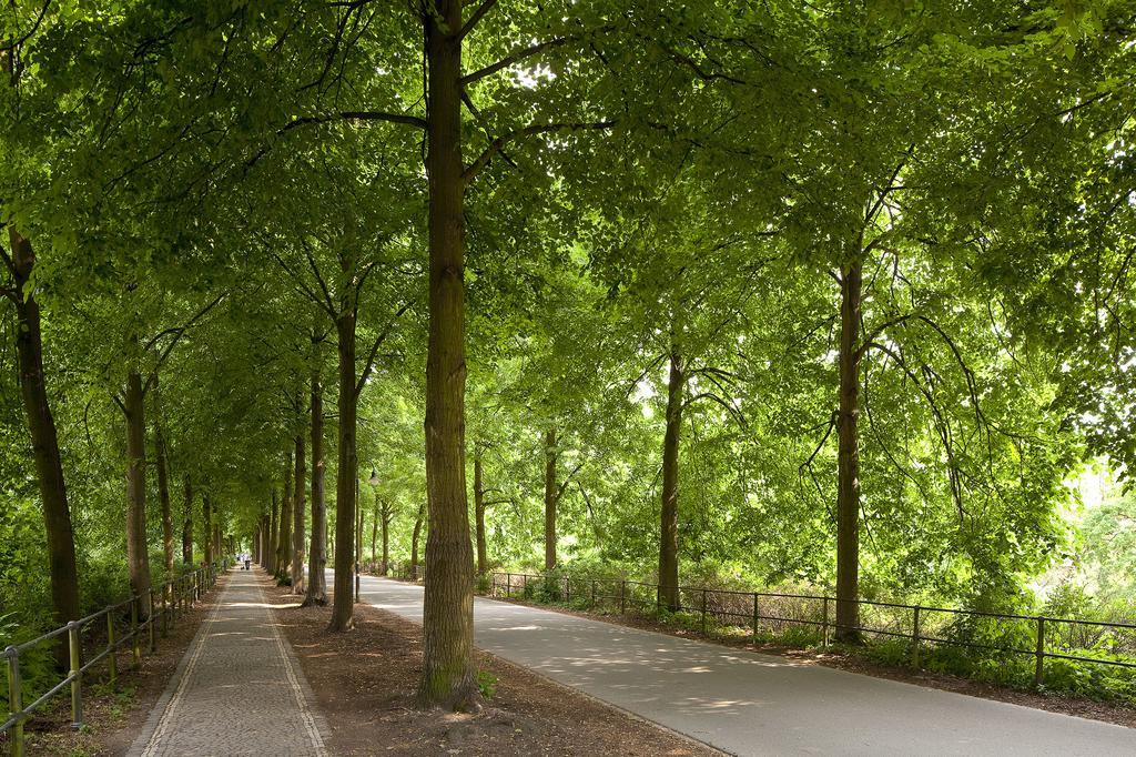 Rosenweg Apartman Beelen Kültér fotó